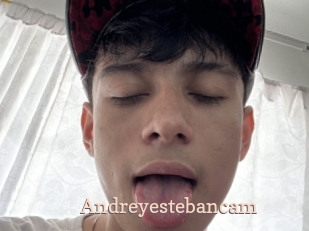 Andreyestebancam