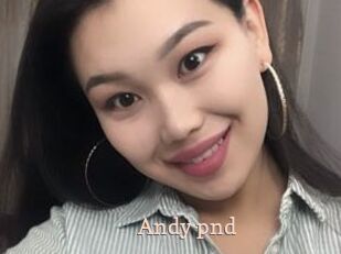 Andy_pnd