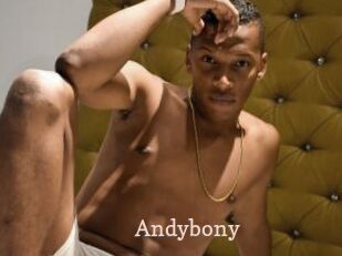 Andybony