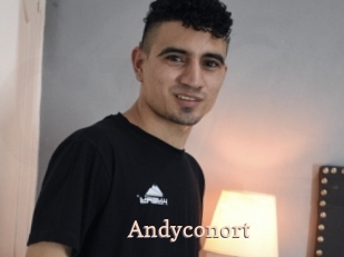 Andyconort