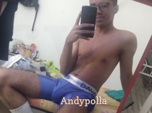 Andypolla