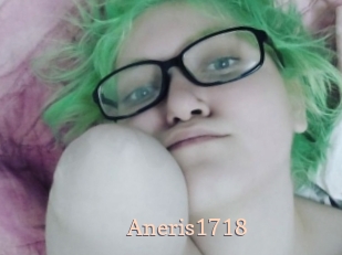 Aneris1718