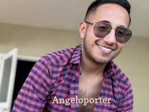 Angeloporter