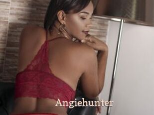 Angiehunter