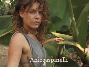 Aniccaspinelli