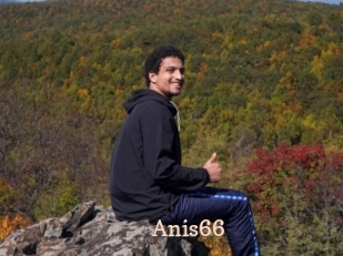 Anis66