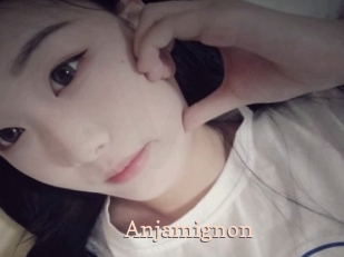 Anjamignon
