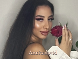 Annitadavid