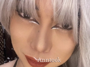 Anntook
