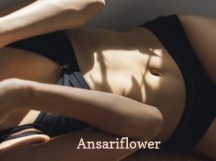 Ansariflower