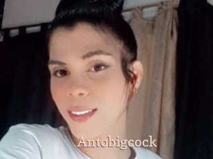 Antobigcock
