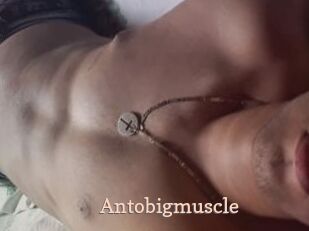Antobigmuscle