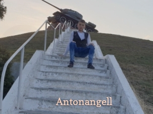 antonangell Chaude Vision