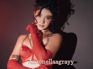 Antonellaagrayy