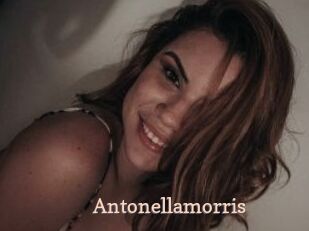 Antonellamorris