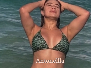 Antonellla
