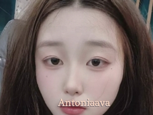 Antoniaava