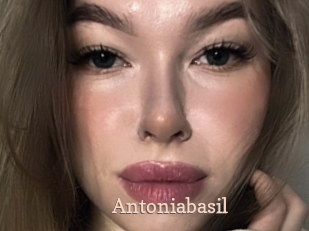 Antoniabasil