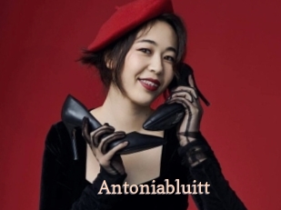 Antoniabluitt