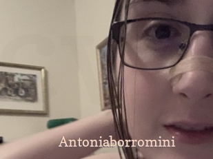 Antoniaborromini