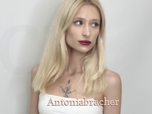 Antoniabracher