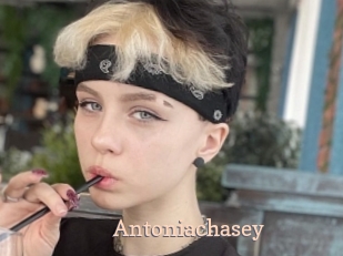 Antoniachasey