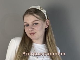 antoniacrumpton Chaude Vision