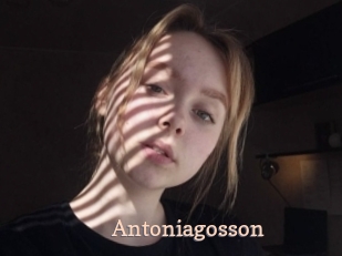 Antoniagosson