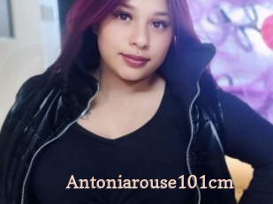 Antoniarouse101cm