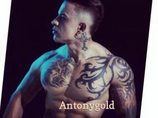 Antonygold
