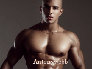 Antonywebb
