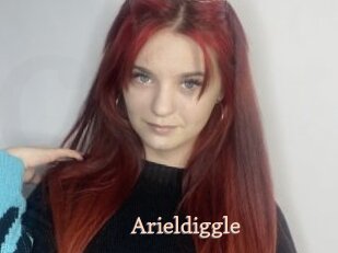 Arieldiggle