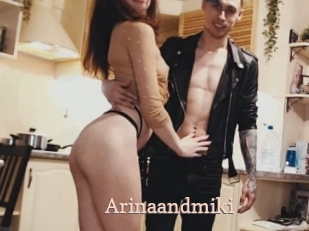 Arinaandmiki