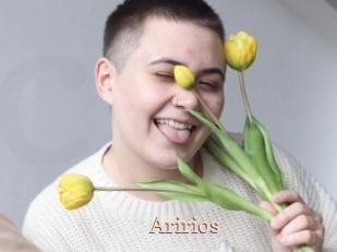 Aririos