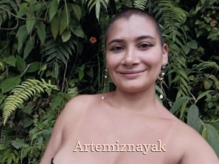 Artemiznayak