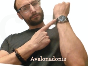 Avalonadonis