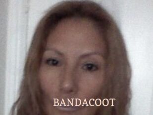 BANDACOOT