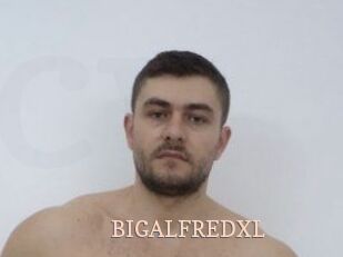 BIGALFREDXL
