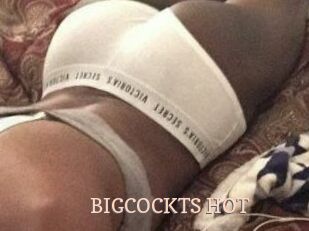 BIGCOCKTS_HOT
