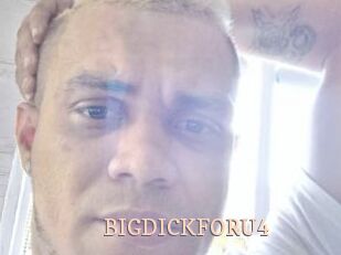 BIGDICKFORU4
