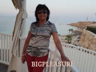 BIGPLEASURE