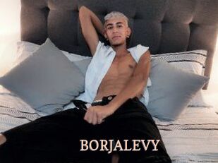 BORJALEVY
