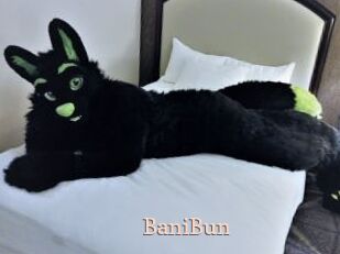 BaniBun