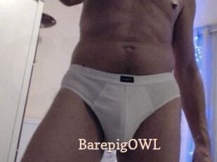 BarepigOWL