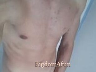 Bigdom4fun