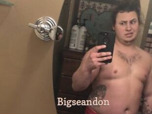 Bigseandon