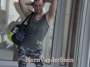 BjornVanderStein