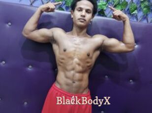 BlackBodyX
