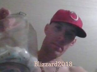 Blizzard2018