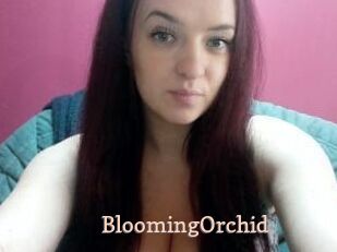 BloomingOrchid